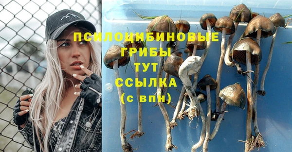 бутират Алексин