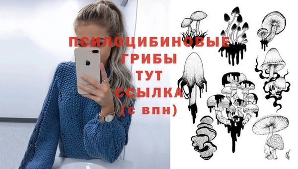 бутират Алексин